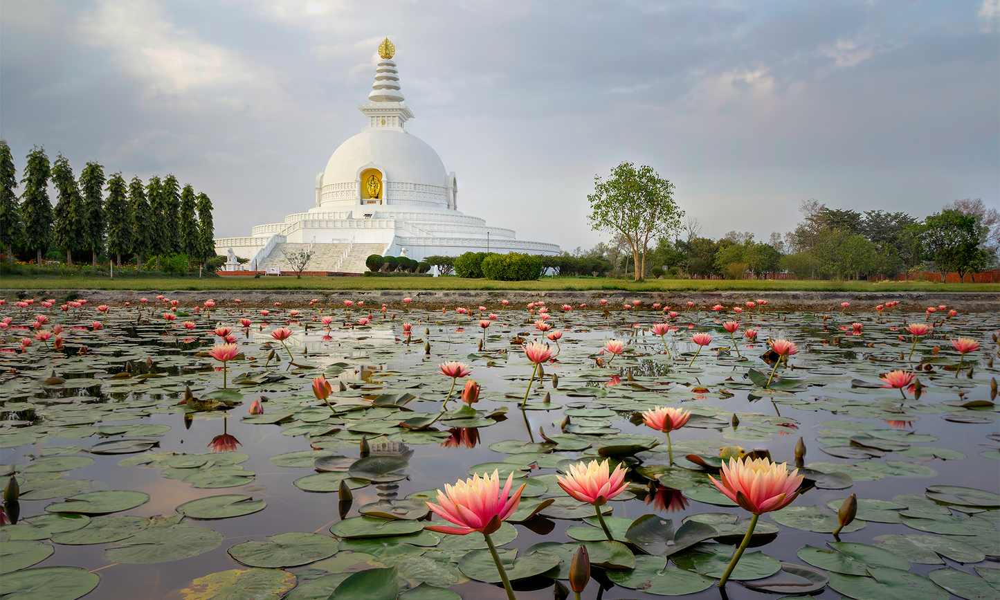 Canvas Art - Lumbini